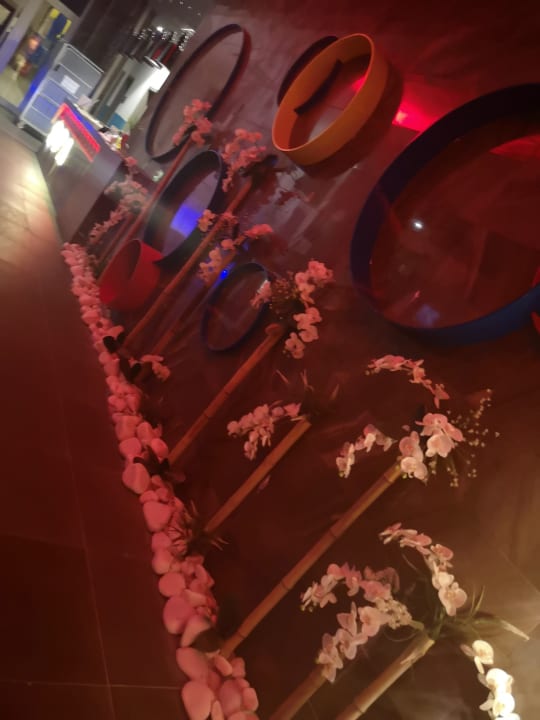 Sonstiges Well Palace Side