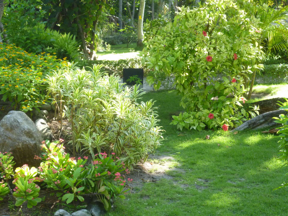 Man konnte fast neidisch werden Adaaran Select Meedhupparu Island Resort - Premium All Inclusive