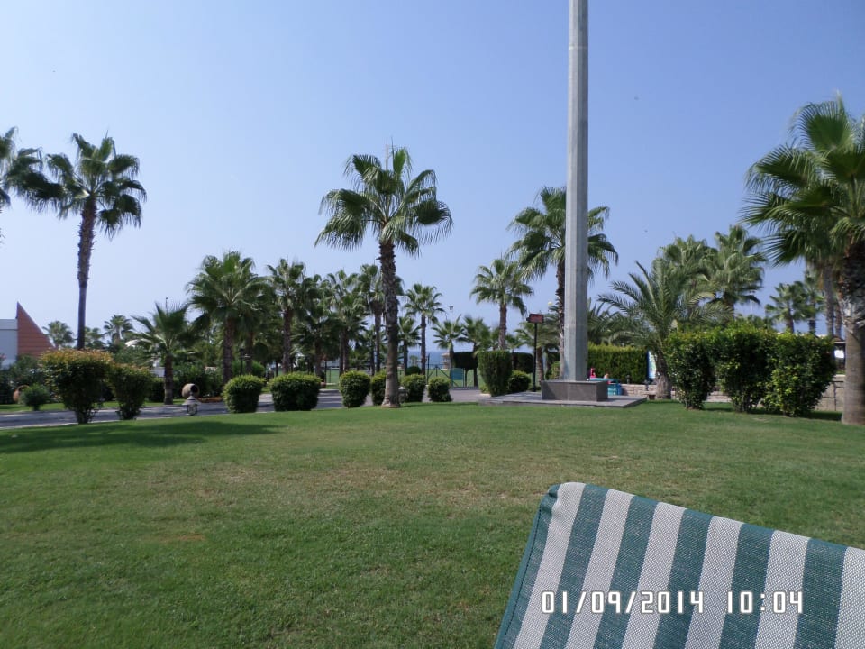 Relaxpool Kamelya Aishen Club