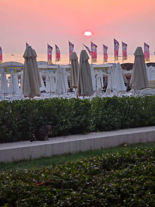 Strand Nerton Hotel - Erwachsenenhotel ab 16 Jahren