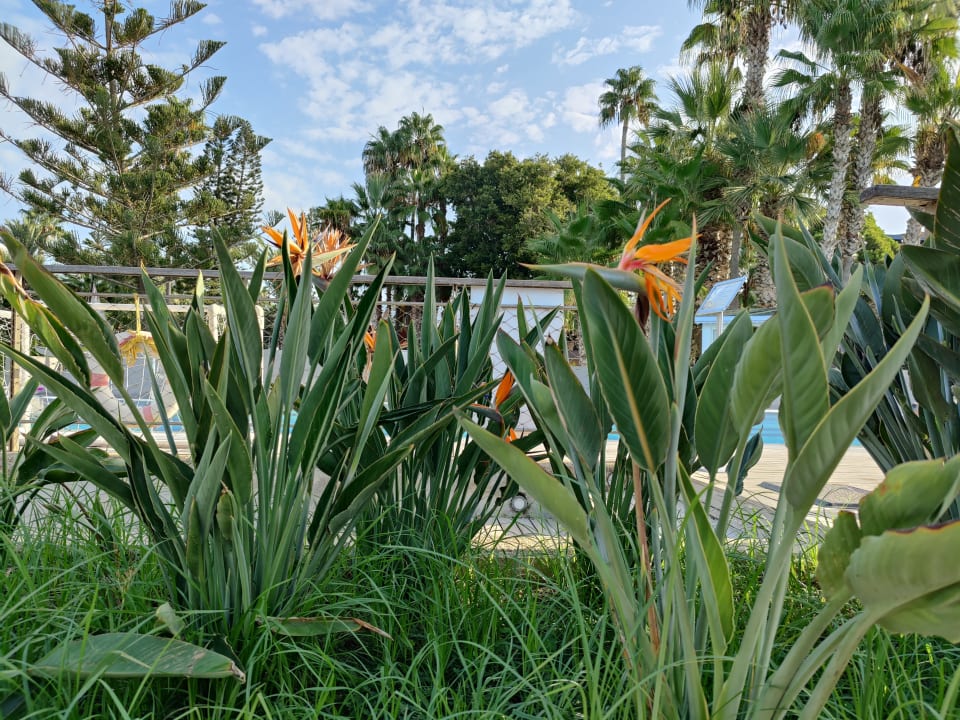 Gartenanlage Labranda Alantur Resort