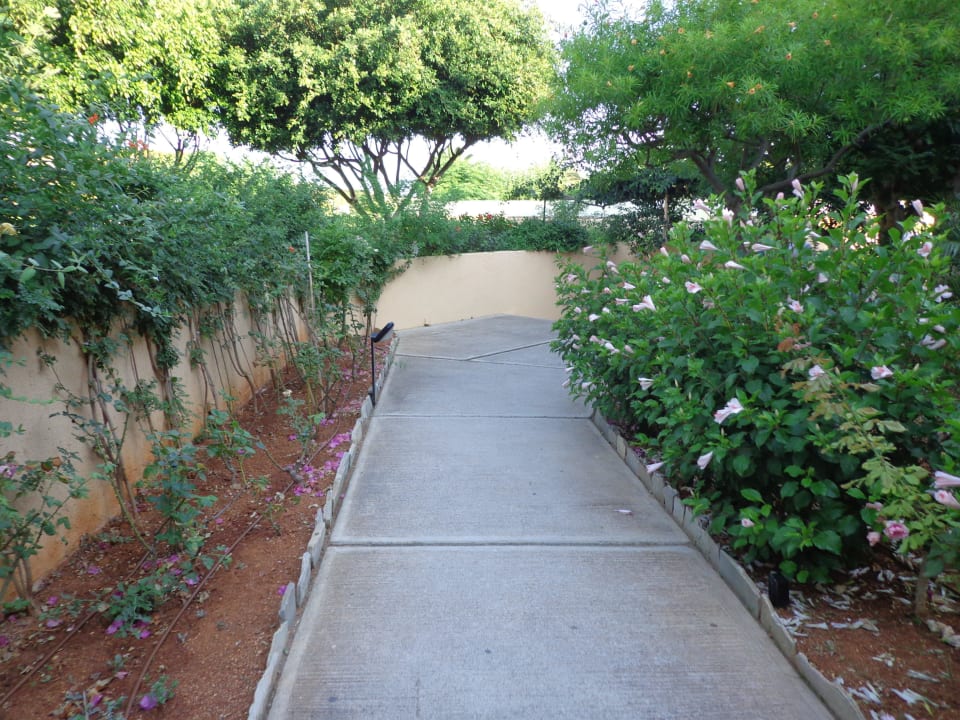 Wege durch Garten Anissa Beach & Village
