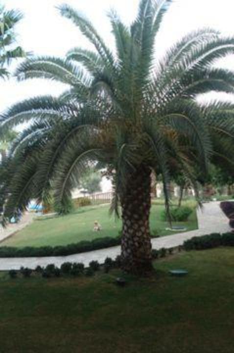 Ausblick aus unserem Zimmer  Hotel Grand Side