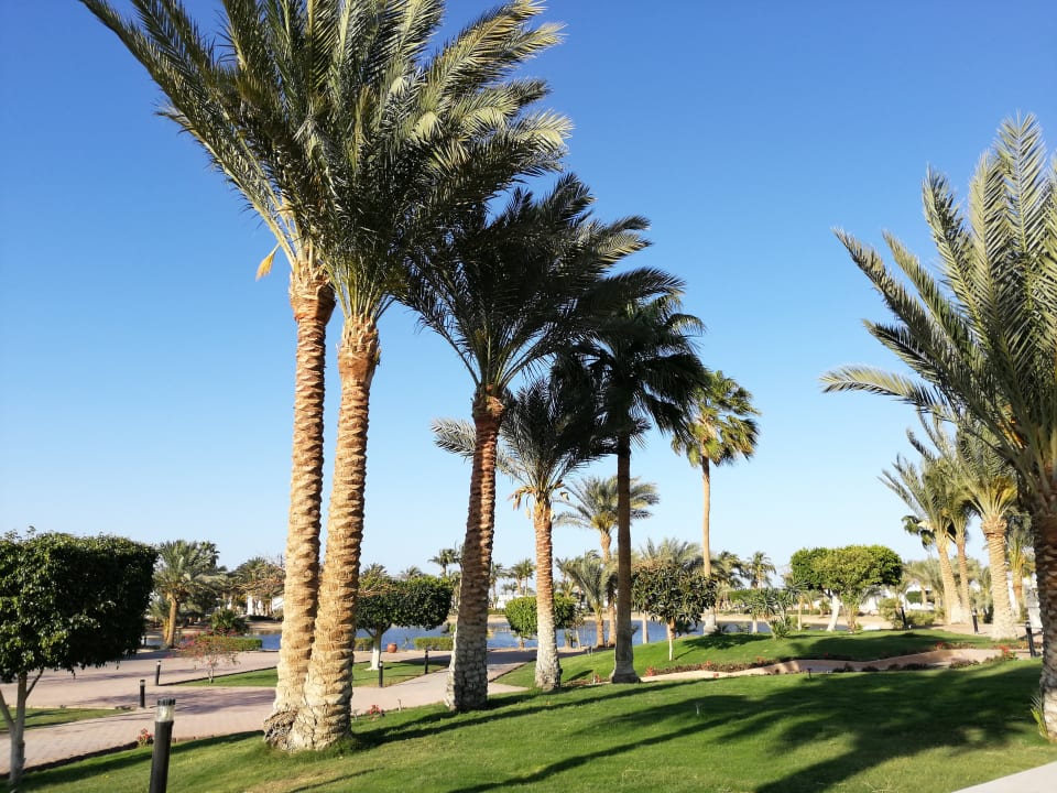 Gartenanlage Pharaoh Azur Resort