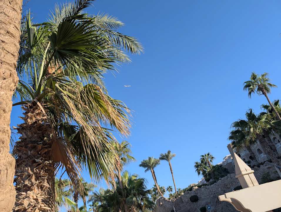 Strand Pickalbatros Citadel Resort