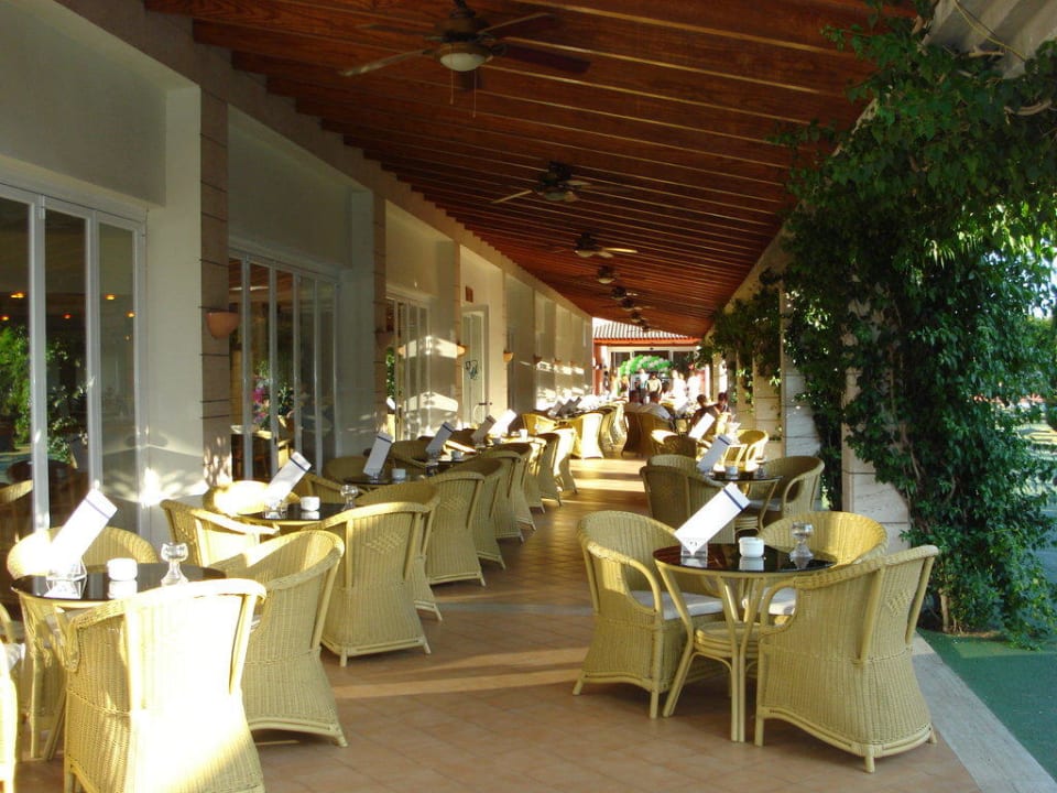 Terrasse im Hotelgarten Prinsotel La Dorada
