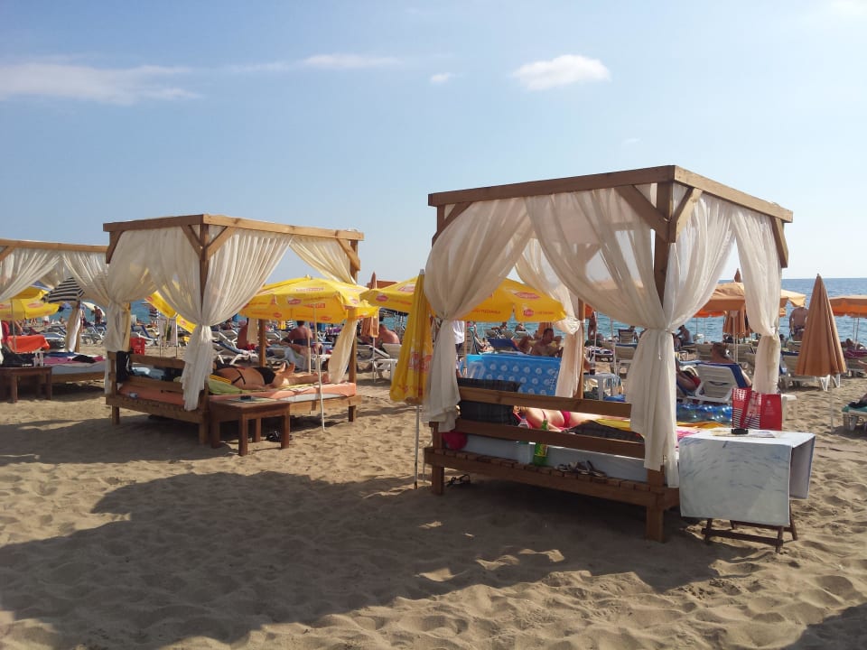 Strandbetten Kleopatra Celine Hotel