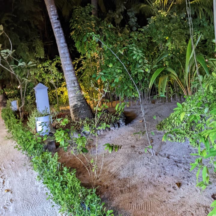 Gartenanlage Angaga Island Resort