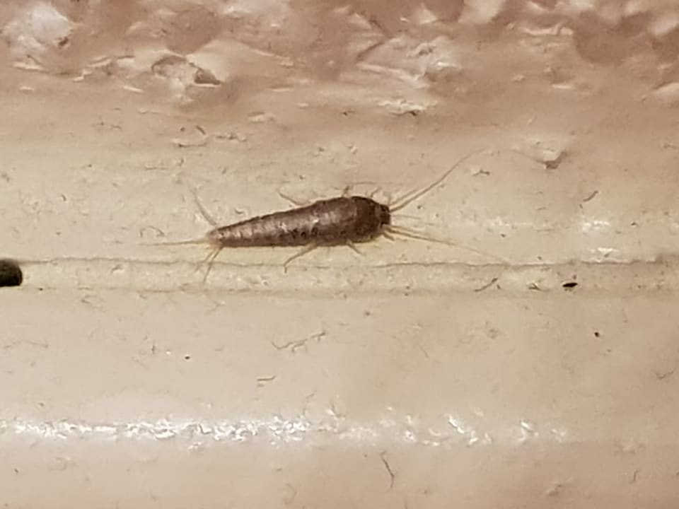 Zimmer Hotel Excelsior Dortmund