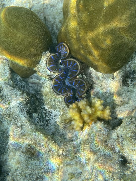 Strand Adaaran Select Hudhuran Fushi - Premium All Inclusive