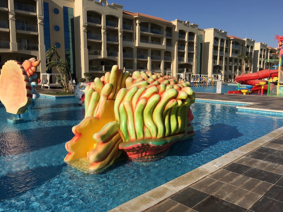 Pool Pickalbatros White Beach Resort - Hurghada