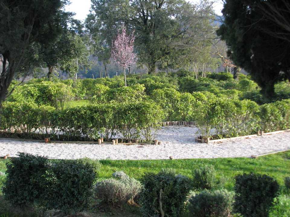 Il labirinto Hotel Etruria Resort & Natural Spa