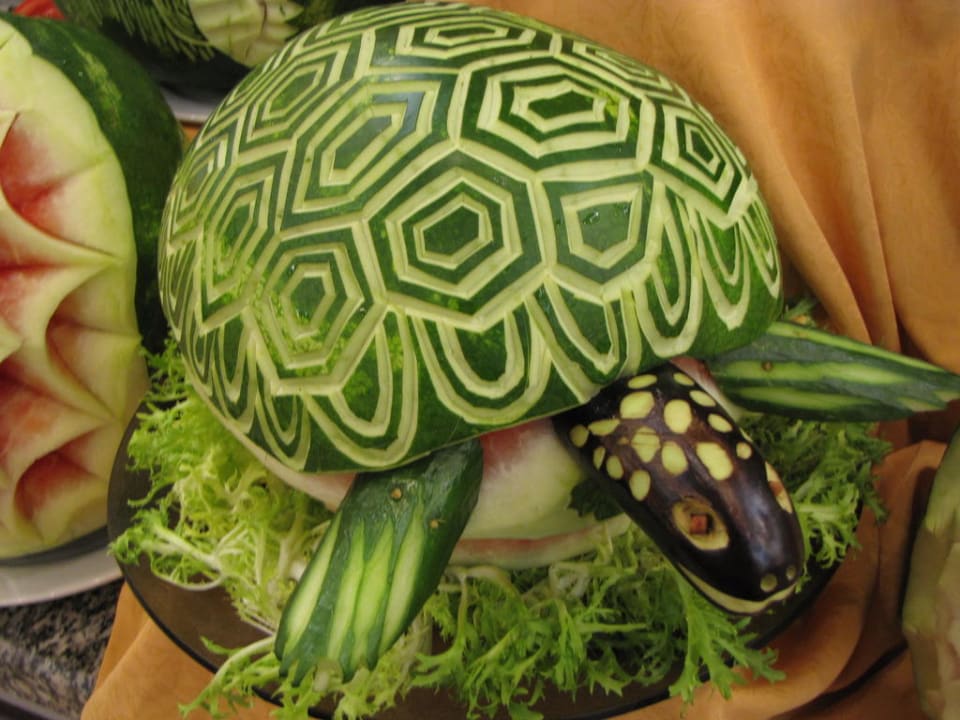 Schildkröte Hane Family Resort