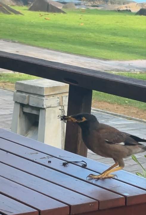 Gartenanlage Khaolak Laguna Resort