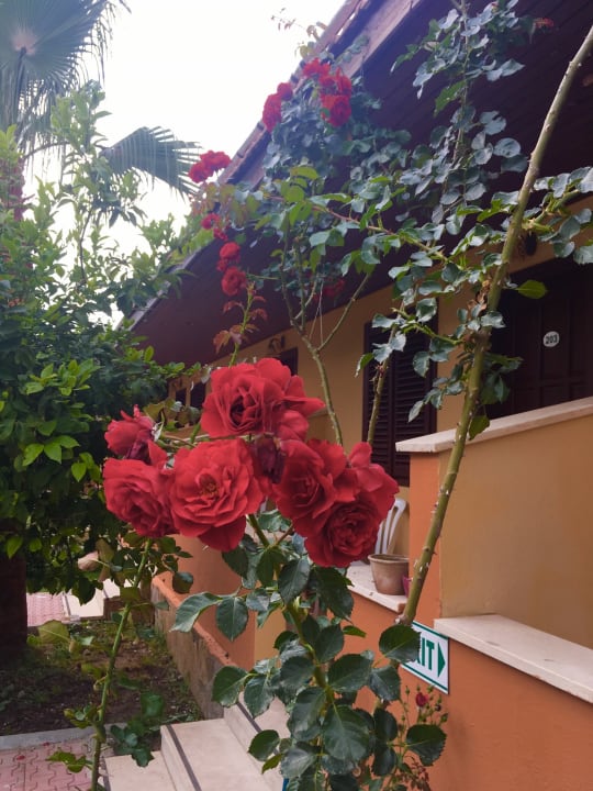 Gartenanlage Özlem Garden Hotel