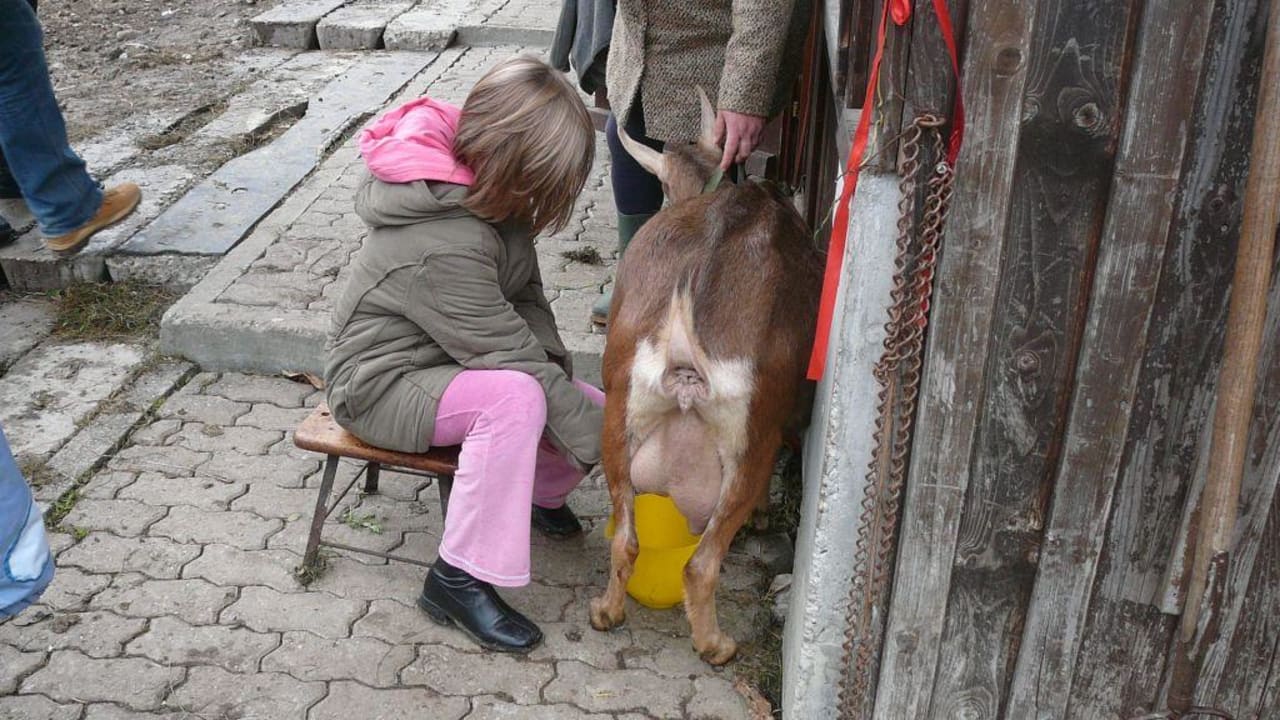 Bei der Ziegenbäuerin Hotel Reiterhof Pichler und Nebenhäuser