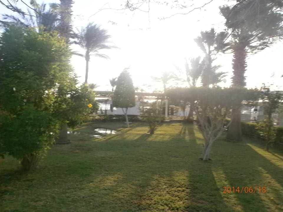 Grün Arabia Azur Resort