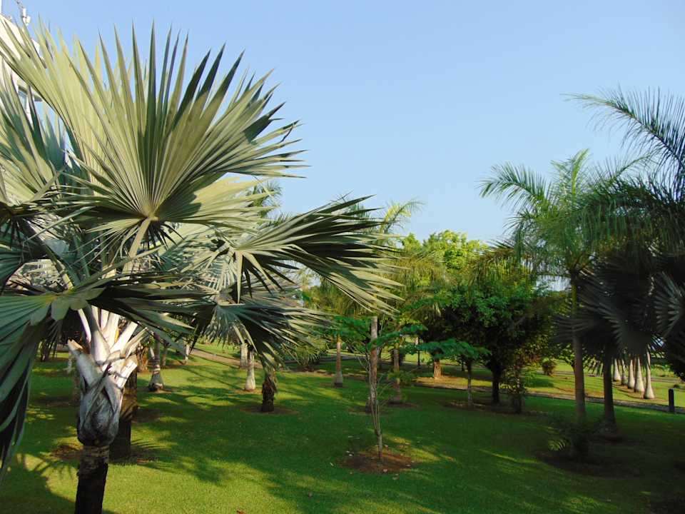 Gartenanlage Sofitel Malabo Sipopo Le Golf