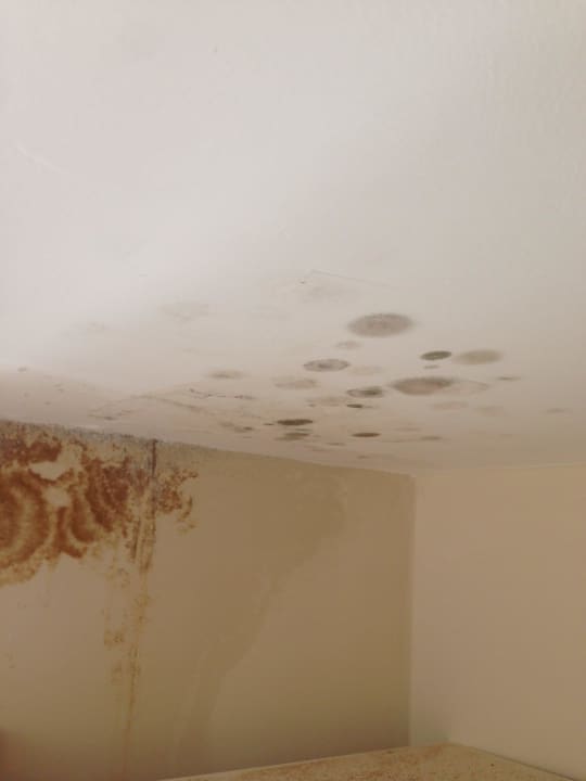 Schimmel und Feuchtichkeit Kaila Beach Hotel