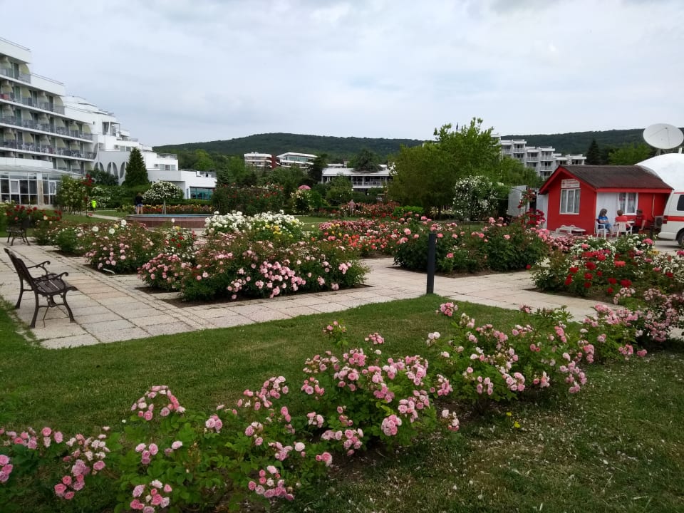 Gartenanlage Hotel Borjana