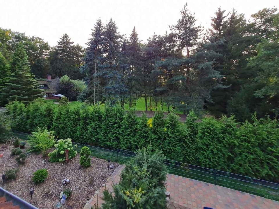 Ausblick Reiterhof Ferienhof Lünzen