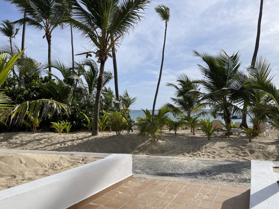 Gartenanlage Hotel Riu Palace Macao - Adults only