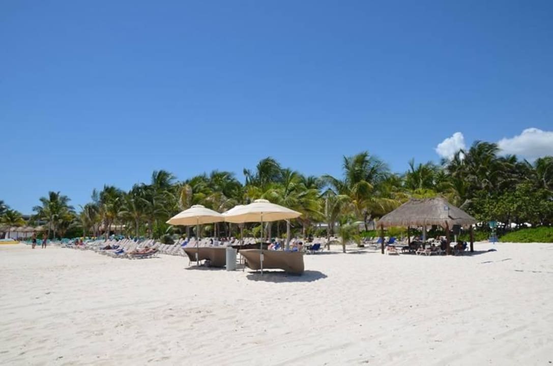 Standard-Bereich Catalonia Playa Maroma