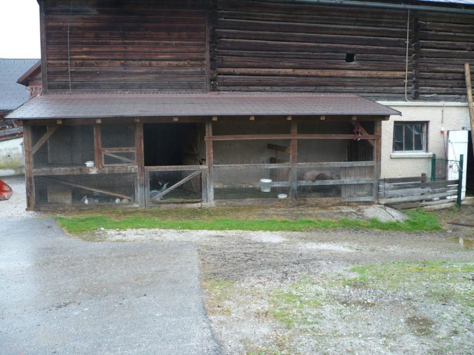 Der Schweinekober und Hühnerstall Hotel Pension Reisslerhof