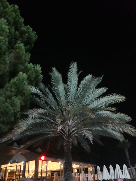 Gartenanlage Club Sidelya Hotel