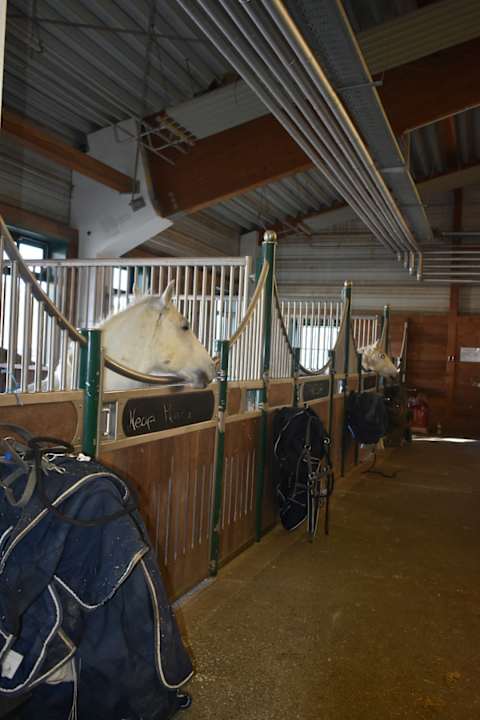 Sport & Freizeit Reiters Finest Family Hotel