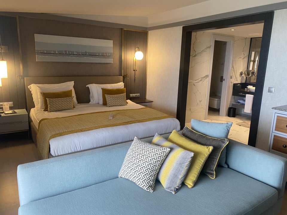 Zimmer Arum Barut Collection