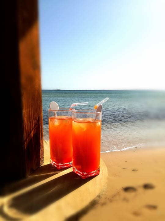 Cocktail am Strand? Kein Problem! Shams Prestige Abu Soma-Adults Only