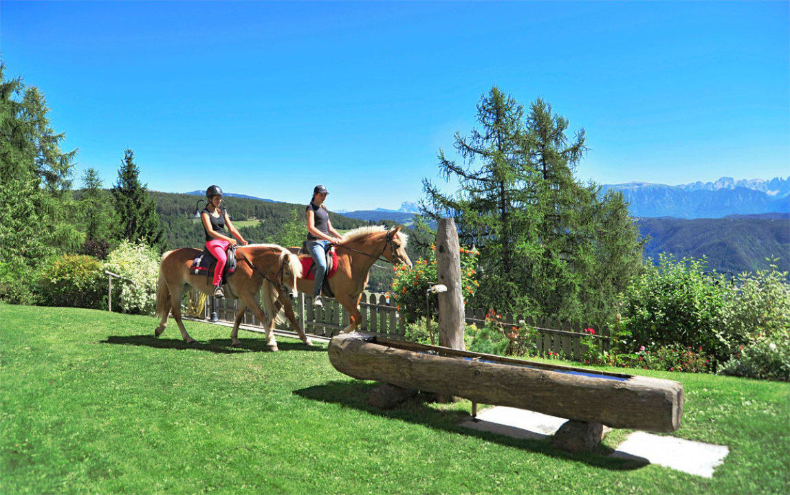 Reithotel Haflinger Pferdeausflug Jenesien Hotel König Laurin