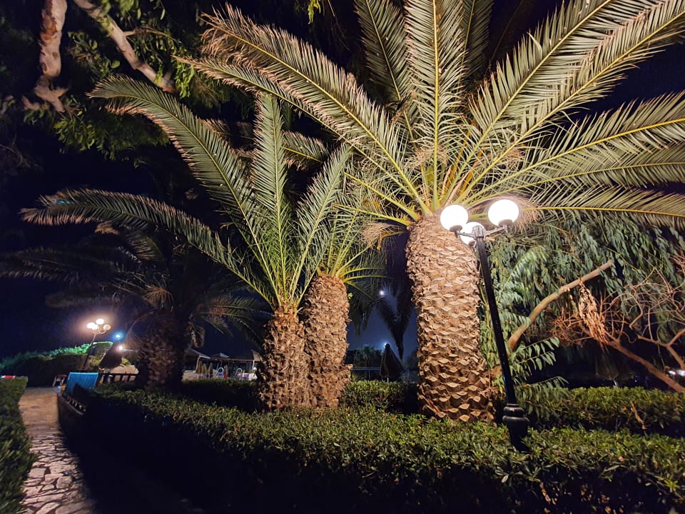 Gartenanlage Apollonia Beach Resort & Spa