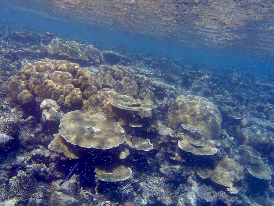 Strand ROBINSON MALDIVES