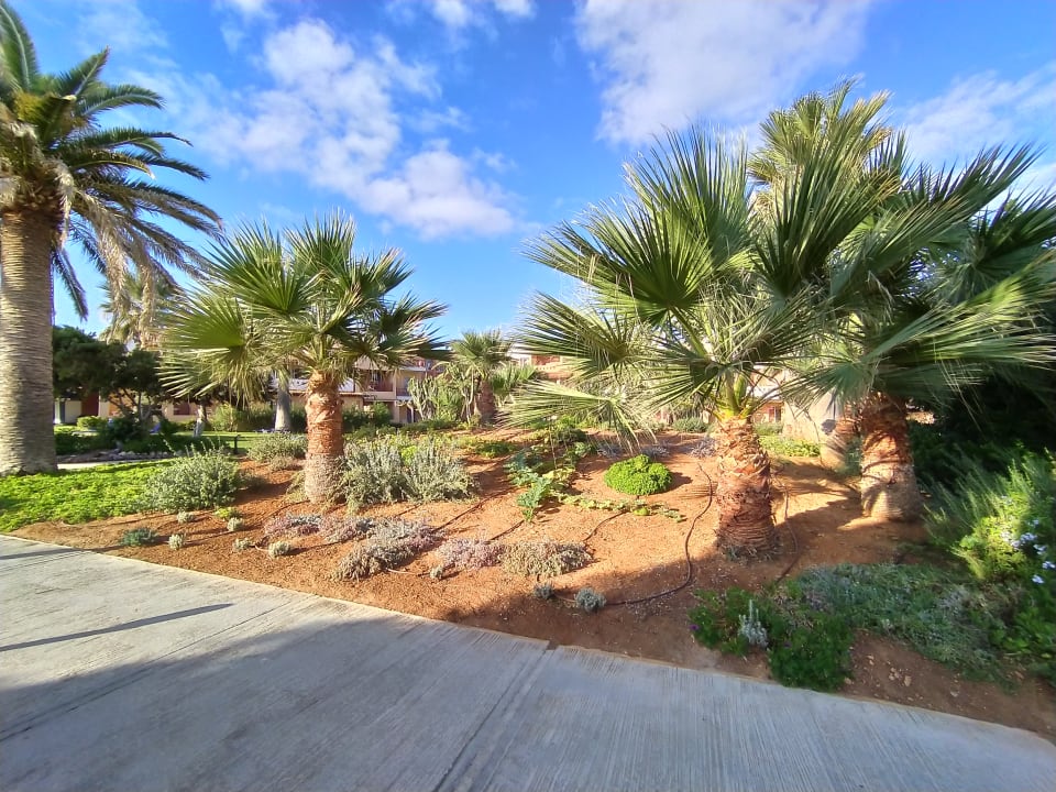 Gartenanlage Anissa Beach & Village