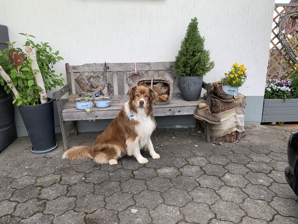 Außenansicht Ferienwohnungen Landhaus Meran