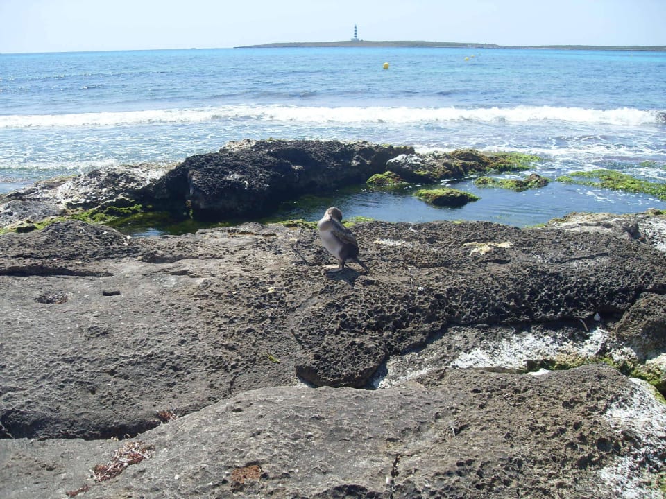 Abseits vom Strand Hotel Xaloc Playa