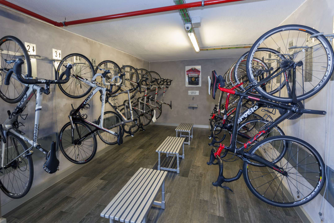 Sport & Freizeit Hotel Edén Palma Playa - Adults Only