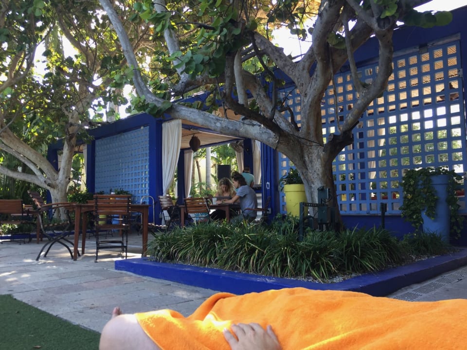 Pool Hotel The Shore Club