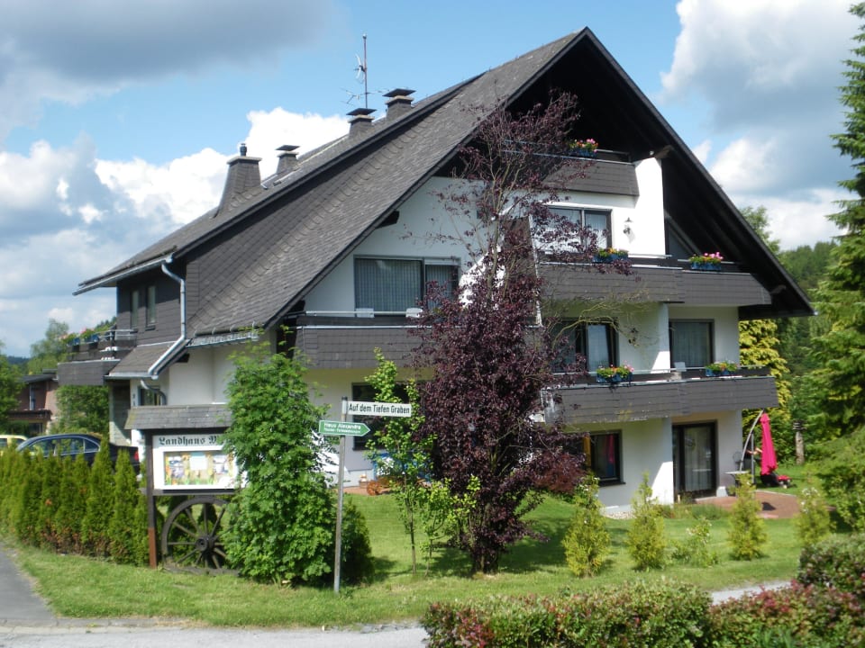 Landhaus Meran Willingen im Sommer Ferienwohnungen Landhaus Meran