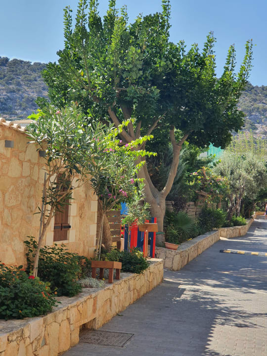 Gartenanlage Cactus Beach