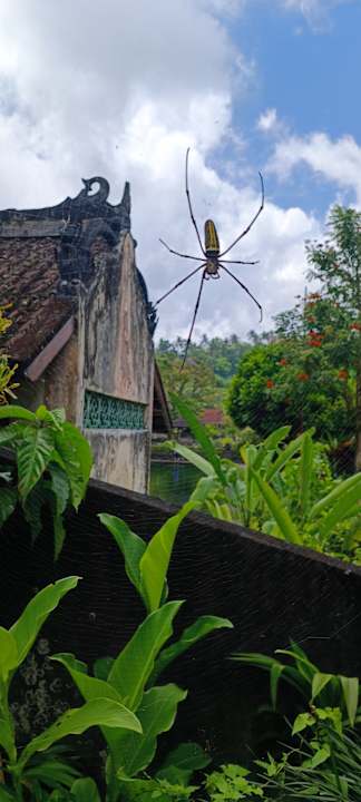 Außenansicht Sanur Resort Watujimbar