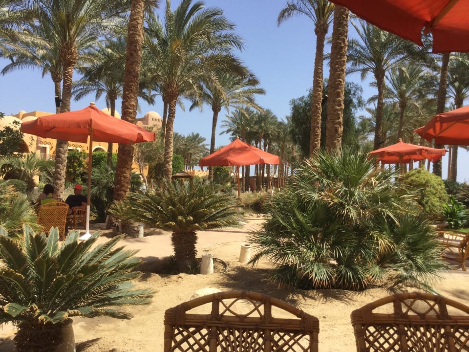 Bar  Makadi Palace