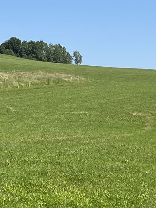 Ausblick Aldiana Club Ampflwang