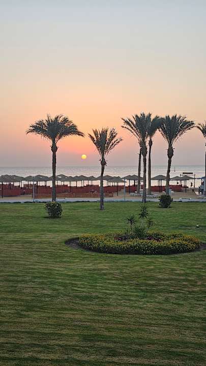Strand Pickalbatros Palace Hotel-Port Ghalib