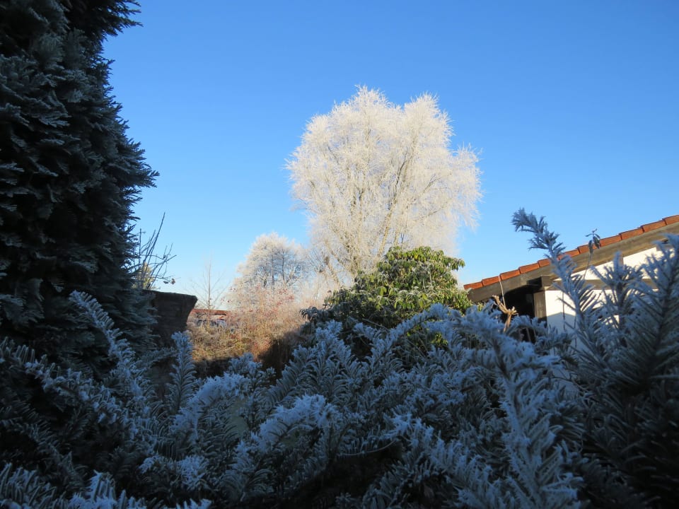 Impression Feriendorf Feriendorf Altes Land