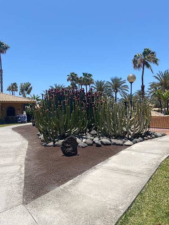 Gartenanlage Suites & Villas by Dunas