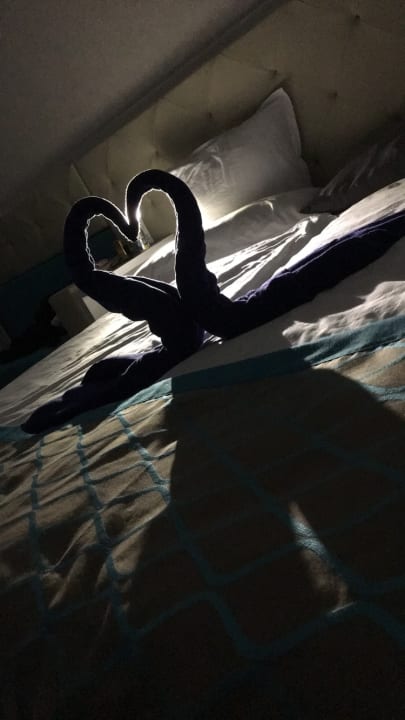 Zimmer Sentido Marea