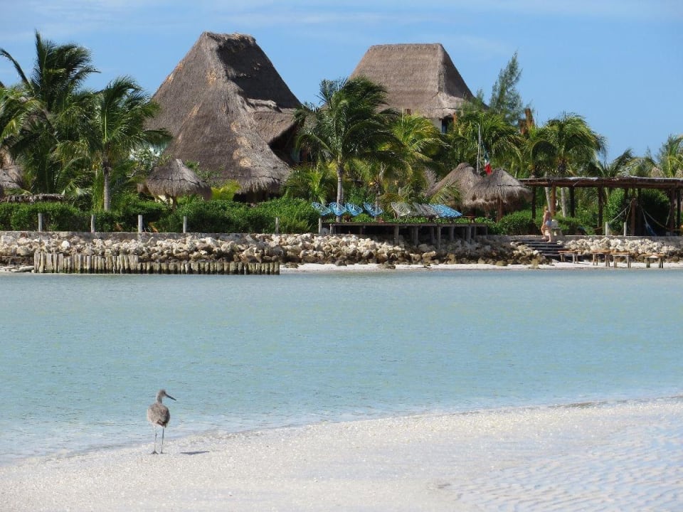 Selbsterklärend Hotel Villas Flamingos